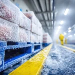 What Is Cold Chain Logistics And Why It Matters?